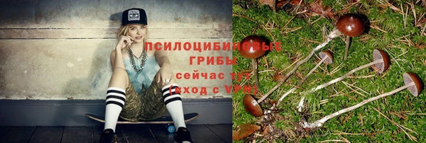 стафф Алексин
