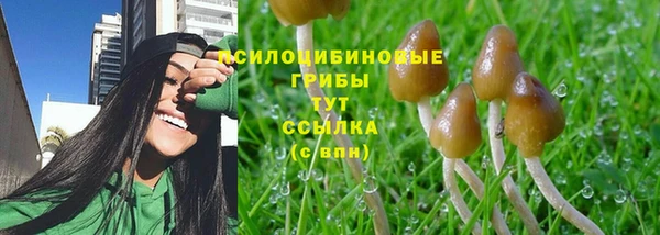 каннабис Алексеевка