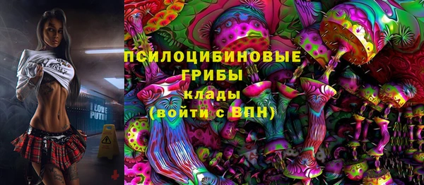 стафф Алексин