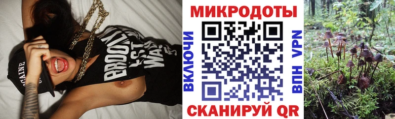 Псилоцибиновые грибы Magic Shrooms  как найти закладки  Бодайбо 